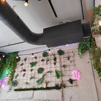 Decor at Creperie de Mari in Oslo