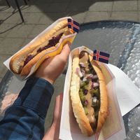 Vegan hot dogs! at Akureyri Hot Dog Stand in Akureyri