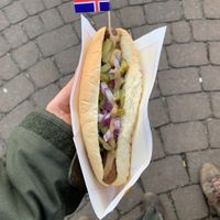 Vegan hot dog with pickled cucumbers   at Akureyri Hot Dog Stand in Akureyri