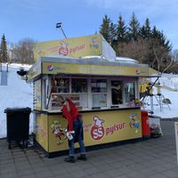 The hot dog stand   at Akureyri Hot Dog Stand in Akureyri