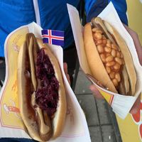 Hotdogs vegan  at Akureyri Hot Dog Stand in Akureyri