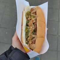 Vegan hotdog with pickled cucumber at Akureyri Hot Dog Stand in Akureyri