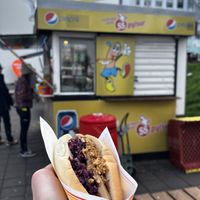 Vegan dog with red cabbagee  at Akureyri Hot Dog Stand in Akureyri