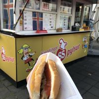 Vegan hotdog  at Akureyri Hot Dog Stand in Akureyri