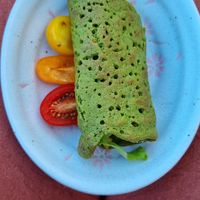  at Vegan B&B Valkenbos in The Hague