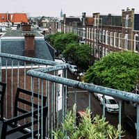 Een fijn terras met leuk uitzicht at Vegan B&B Valkenbos in The Hague