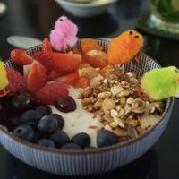   at Vegan B&B Valkenbos in The Hague