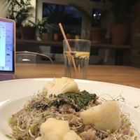 Mushroom risotto, while working at Zywa Kuchnia in Warsaw