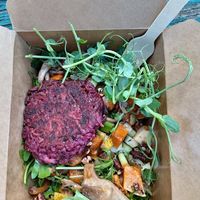 Roasted butternut squash, salad and beetroot fritter at Hive Coffee Company in Jarrow