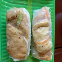 Rice paper rolls at Hanh Phuc - Vegetarian Restaurant in Surry Hills