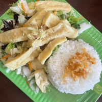  #Veganuary at Hanh Phuc - Vegetarian Restaurant in Surry Hills