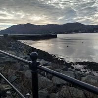 Beautiful Warrenpoint at Leafy Greens & Co in Warrenpoint