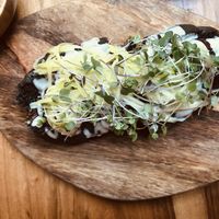 Perro de hongos siniestros at KAIME in Medellin