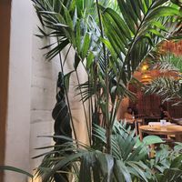  at KAIME in Medellin