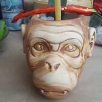 Insane in the brain cocktail at Boa-Bao in Lisbon