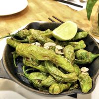 Fried Shishito peppers (a special!) at Green Elephant Vegetarian Bistro in Portland