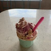 Berry Ripple, and Biscoff (cashew) ice creamm  at Gelato UNOU in Seaford