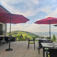 The view ⛰️ at  Bödele Alpenhotel in Schwarzenberg