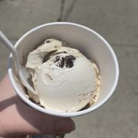 Flavor of the week - peanut butter cookies and creamm  at Whit's Frozen Custard in Columbus