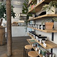 Interior   at Wild & The Moon - Amelot in Paris