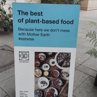  at Wild & The Moon - Amelot in Paris