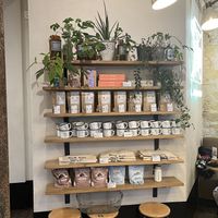   at Wild & The Moon - Amelot in Paris