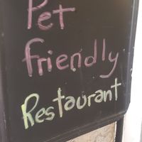 Great food and welcoming to doggos. at Sabores de Sandra in Mallorca
