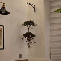  at Sabores de Sandra in Mallorca