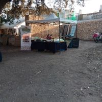 Sandra is that friend that makes you feel home at Sabores de Sandra in Mallorca