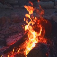 Sandra makes the best thing in the whole world no one has a tremendous Delicious plate called KRISTIAN i recommend you to eat it at Sabores de Sandra in Mallorca