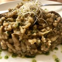 Divine risotto!  at Sabores de Sandra in Mallorca