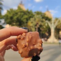 My favourite! Hazelnut cream, caramel, crunchy white chocolate base & milk choc coating. So rich &nutty. Even the chocolates are artisanal &refined sugar free. Incredibly Delicious at Hanai Vegana in Barcelona