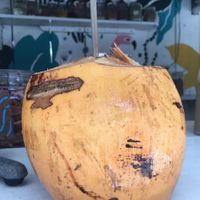 Fresh coconut water ready to drink with an agave straw.  at Matcha Mama - Zona Hotelera in Tulum