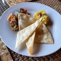 Cickpea kofka at Nautilus Resort in Rarotonga