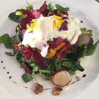 Vegan dish of the day: plants and roots with anise on leaf bed (there is always a vegan option, a vegetarian option and a non-veg option). Delicious! at Cafe du Grütli in Geneva