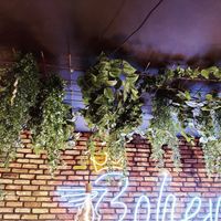 Bohemian Burgers at Bohemian Burgers in Bruges