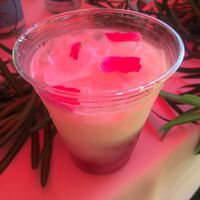 Rose Italian soda  at Seed Sprout Spoon in St Louis