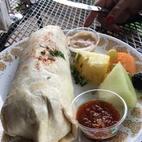 Sunday brunch breakfeast burrito at Seed Sprout Spoon in St Louis