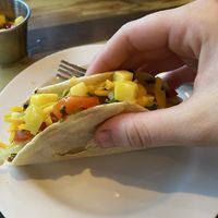 Soft Taco with Mango Salsa on top at Session Taco - Delmar Loop in St Louis