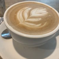 Good coffee   at Slowpoke Espresso in Fitzroy