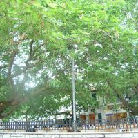 View to Square at To Pardalo Katsiki  in Lefkada