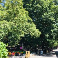 Pardalo Katsiki  at To Pardalo Katsiki  in Lefkada