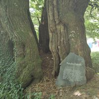  at Albergue Ecologico El Beso in Lugo