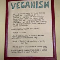   at Albergue Ecologico El Beso in Lugo