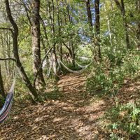  at Albergue Ecologico El Beso in Lugo