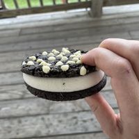 Mint Chocolate Vegan Ice Cream Sandwichh  at Surfin' Spoon in Nags Head