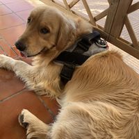   at Rustico Pizza e Vino in Gran Canaria
