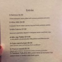 Vegan entree menu at Exotic Indian Curries in Summer Hill