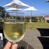 Vegan friendly wine at Green Vine Eatery in Cape Town