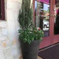 Front door and business hours at Rejuv Juice in Hurst